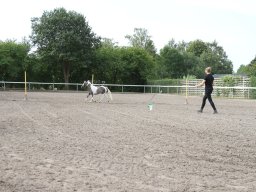 IMG_1135_web